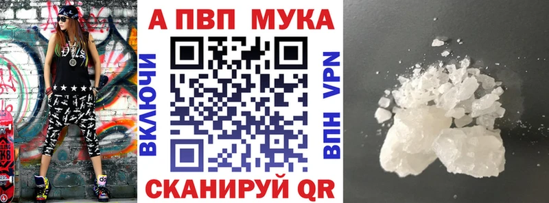 OMG ссылка  Касли  APVP VHQ 