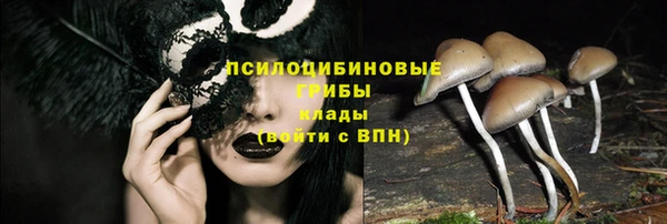 стаф Абинск