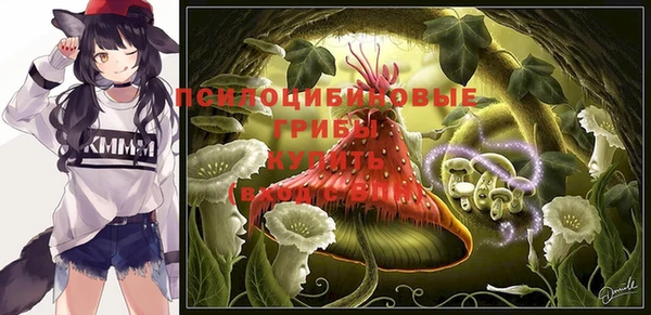 стаф Абинск