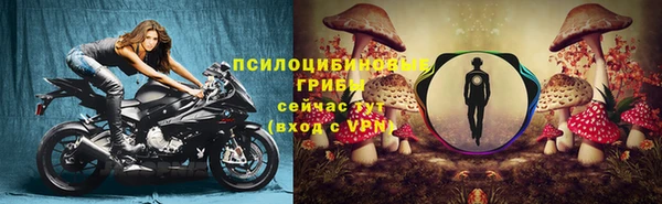 сатива Снежногорск