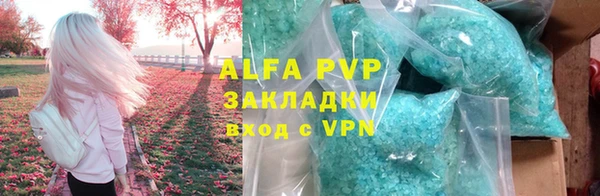 стаф Абинск